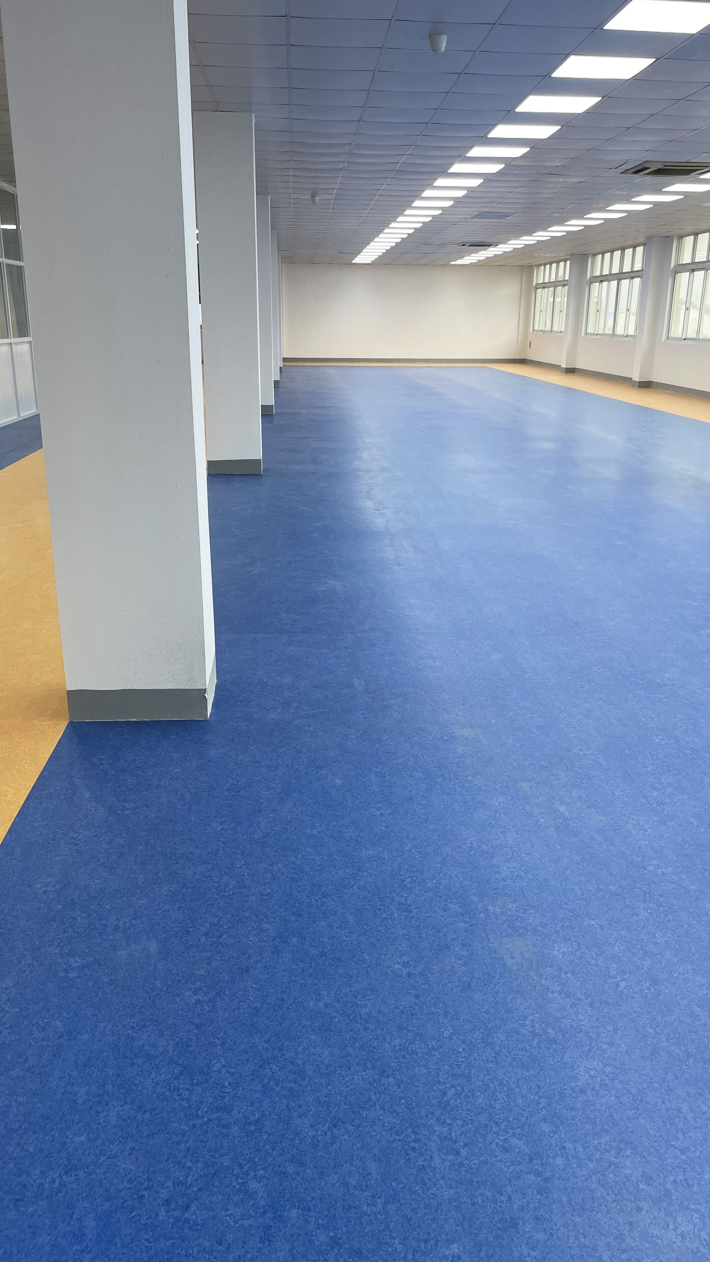 cleanroom PVC flooring